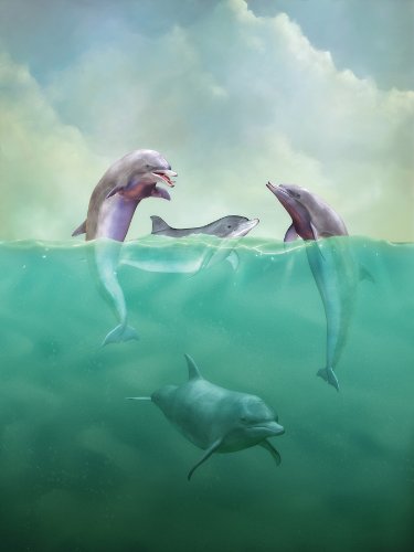 Brewster Phoenix 99449 Prepasted Nonwoven Mural Dolphins 8Foot X 6Foot