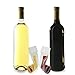 Wine Accessories and Gifts: Reusable Plastic Wine Bag - 2 Bags + Funnel Decanter Gift Set - Portable, Foldable, Unbreakable Wine Bottles & Wine Holder - Carrier, Flask and Carafe for Wines - Goodmanns