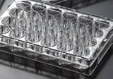 EarthOx Sterile Tissue Culture Plate 24 Well -Surface Treated (4 Plates)