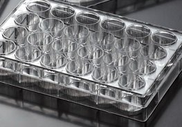 EarthOx Sterile Tissue Culture Plate 24 Well -Surface Treated (4 Plates)