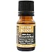 Plantlife Study Buddy Aromatherapy Essential Oil Blend - Straight from The Plant 100% Pure Therapeutic Grade - No Additives or Fillers - Made in California 10 ml