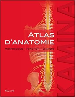 Amazon Fr Atlas D Anatomie Morphologie Fonction Clinique Kamina Pierre Livres