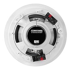 OSD Audio Weatherproof 8" in Ceiling Dual Tweeter