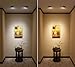 CBConcept UL-Listed MR16 GU5.3 LED Bulbs, 5-Pack, 5 Watt, Dimmable 500 Lumen, Warm White 3000K, 36°Beam Angle, 12V, 50W Halogen Equivalent, Recessed/Landscape LED Lighting | Designed in San Francisco