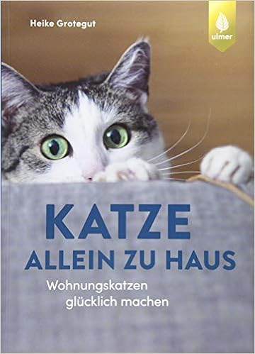 Katze Allein Zu Haus Wohnungskatzen Glücklich Machen