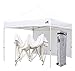Eurmax 10'x10' Easy Pop up Canopy Outdoor Commercial Instant Trade Shade White