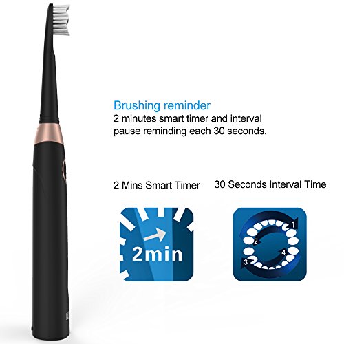 Top 10 Best Electric Toothbrushes Waterproof Rechargeable Best of
