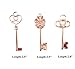 Aokbean Mixed Set of 30 Large Skeleton Keys in Rose Gold - Set of 30 Keys