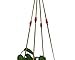 4 Legs Macrame Nylon Rope Plant Holders with Wood Bead Decoration,Coffee Color, 25-inches and 10 Inches Tail Tassel (Without The Pot and Plant)