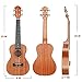 Ranch Left handed Concert Ukulele 23 inch Professional Wooden ukelele Instrument with Padded Ukele Gig Bag