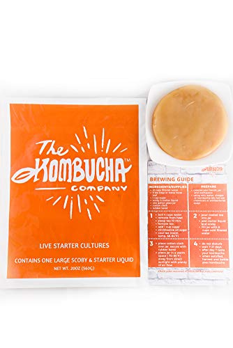 Large Kombucha Brewing SCOBY with 16oz (2 Cups) Strong LIVE Starter TEA and LIVE Cultures by -The Kombucha Company (Makes 2 Gallons) - Thumbnail 2