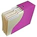 Evelots Magazine File Holder-Organizer-Full 4 Inch Wide-Pink-With Labels-Set/6