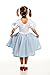 Kidcostumes Child's Dorothy Costume Dress for The Wizard of Oz, Large 10/12