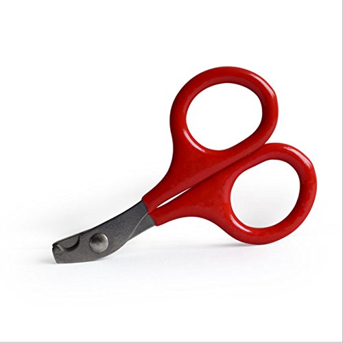Pet Nail Clipper Dog Cat Stainless Steel Durable Easy Use Cutter Puppy Kitten Claw Care Supplies Tool For Small Animal