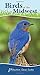 Birds of the Midwest: Identify Backyard Birds with Ease (Adventure Quick Guides)