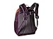 Deuter Pico Kid's Backpack for School and Hiking- Plum-Coral