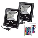 GLW 30W RGB LED Flood Light Remote Control Outdoor Landscape Lighting IP65 Waterproof 16 Colors Changing 4 Mode Security Light for Garden,Lawn,Yard (2 Pack)