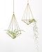 Mkono Hanging Air Plant Holder Modern Geometric Planter with Chain Tillandisia Container Himmeli Wall Decor, Gold, 2 Packs