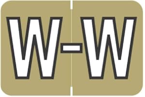 Doctor Stuff - File Folder Labels, Alphabet Letter W, Barkley/Sycom FABKM - BRAM Series Compatible Alpha Stickers, Gold, 1" x 1-1/2", 225 Labels per Package