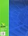 Understanding Geography, Map Skills and Our World, Level 5 (Understanding Geography, Level 5)