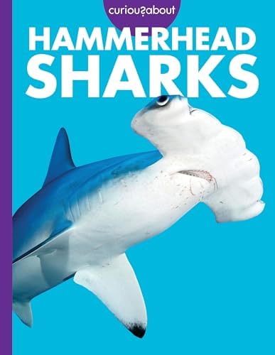 HAMMER HEAD SHARK CDセット 時速36Km Hammerhead Sharks (Shark Frenzy): Rebecca Pettiford: 9781644872468