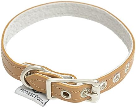 Genuine Leather Designer Dog Collar by Honest Paw - Caramel - Size 10"-12" - 1/2" Width