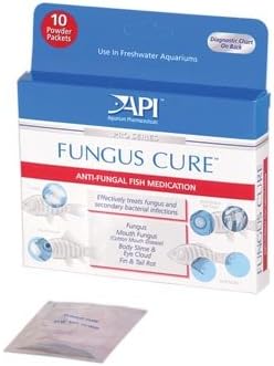 Fungus Cure Powder