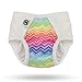 Pull-on Undies 2.0 Stretchy Waterproof Potty Training Pants and Toilet Training Underwear (Rainbow Bright, Large)