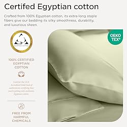 Threadmill Egyptian Cotton Queen Sheet Set