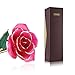 ZJchao 24K Rose Gifts for Her, Love Dipped Gold Real Rose Flower Preserved Eternal Present for Christmas/Wedding/Valentines/Birthday/Mother's Day ()