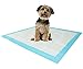 Stella Puppy Training Underpads Super Absorbent Large Doggie Pet Incontinence Bedding and Furniture Protection Disposable Pad 28 X 34, 40 Count