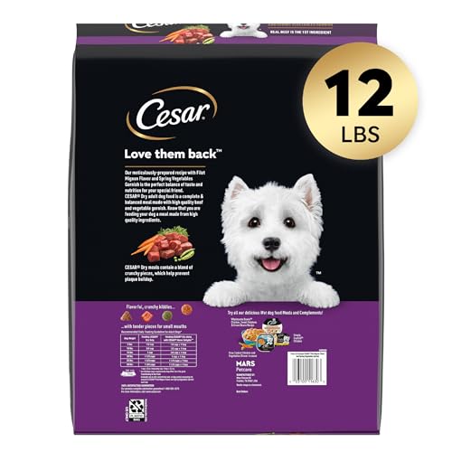 CESAR SMALL BREED ADULT DRY DOG FOOD FILET MIGNON FLAVOR WITH SPRING VEGETABLES GARNISH DOG KIBBLE, 12 LB. BAG