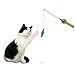 OurPet's Go Fish Cat Fishing Pole Toy with Catnip Fish Teaser and Rod Interactive Cat Wand Toys for Indoor Cats