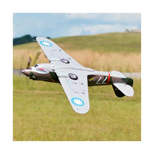 DBG 1400mm P-40 Warhawk Flying Tiger RC Flugzeug PNP-Skala Gaint Warbird Modell Flugzeug Flugzeug – Bild 7