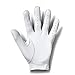 Under Armour Men's UA Iso-Chill Golf Glove