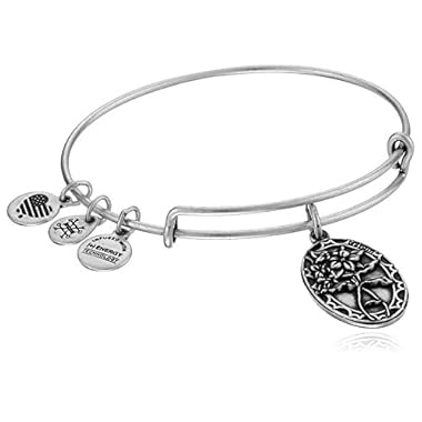 Alex and Ani Because I love you, Friend II Expandable Bracelet