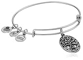Alex and Ani Because I love you, Friend II Expandable Rafaelian Silver-Tone Bangle Bracelet