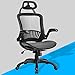 Ergonomic Office Chair Desk Chair Mesh Computer Chair with Lumbar Support Headrest Flip up Arms Executive Task Chair for Adults Women,Black