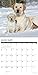 What Labs Teach Us 2019 Wall Calendar (Dog Breed Calendar)
