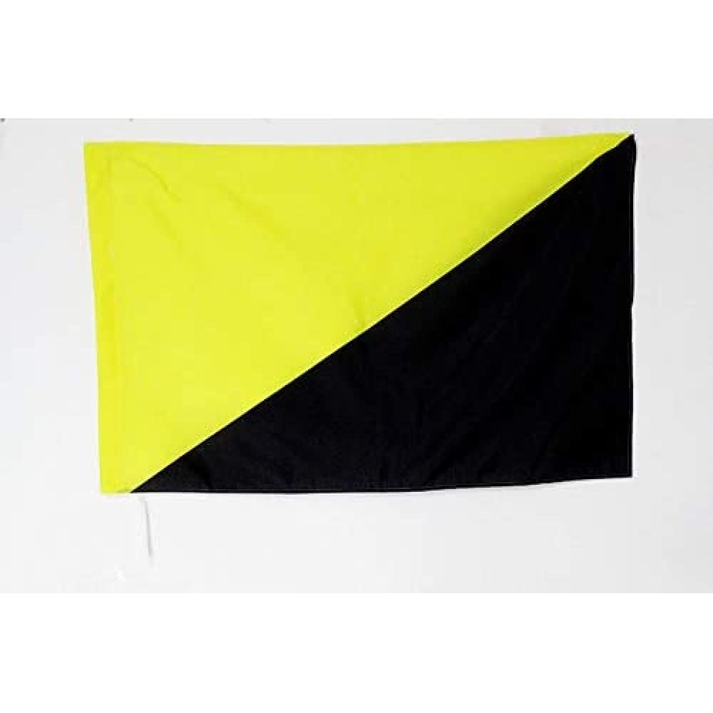 AZ FLAG - Anarcho-capitalism Flag - 3x5 Ft - anarchist capitalist Banner with Sleeve - 100% Polyester - Fade Resistant - Vivid Colors - 3' x 5' Feet - 150x90 Cm