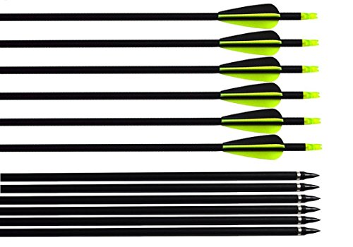 ARCHERY SHARLY 31" Carbon Hunting Arrows Targeting Practice Arrows,3" Plastic Vanes Screw-in Replacement Tips for Recurve & Traditional Bow & Longbow (12 Pack)