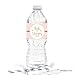 Andaz Press Blush Pink Gold Glitter Print Wedding Collection, Water Bottle Label Stickers, 20-Pack