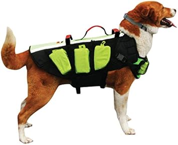 人気第1位 フュージョン Fusion セラピー浮き輪 在庫限り 完売次第終了ぽっきりsale Alimamiy Ru