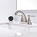 Friho Lead-Free Modern Commercial Two Handle Brushed Nickel Bathroom Faucet,Bathroom Vanity Sink Faucets with Drain Stopper and Water Hoses