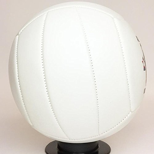 2 Custom+Personalized+Volleyball+Resolution+Trophies