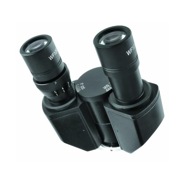 Bresser professionelles inverses, trinokulares Mikroskop Science IVM-401, 100x-400x Vergrößerung, planachr. Objektive, großer Kreuztisch für Objektträger oder Petrischalen, inkl. Kameratubus – Bild 7