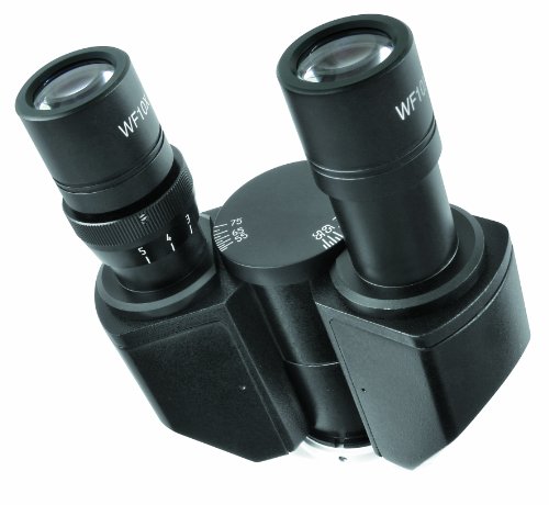 Bresser professionelles inverses, trinokulares Mikroskop Science IVM-401, 100x-400x Vergrößerung, planachr. Objektive, großer Kreuztisch für Objektträger oder Petrischalen, inkl. Kameratubus – Bild 7