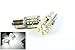 LEDIN 2x (BA15s 1156 7506 P21W) 40 SMD LED Back Up Reverse Light Bulb White 6000K
