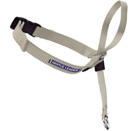 high fiber puppy dog food