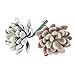Neomark Assorted Realistic Cute Green Home Garden Faux Artificial Succulent Cactus Plants Unpotted (2